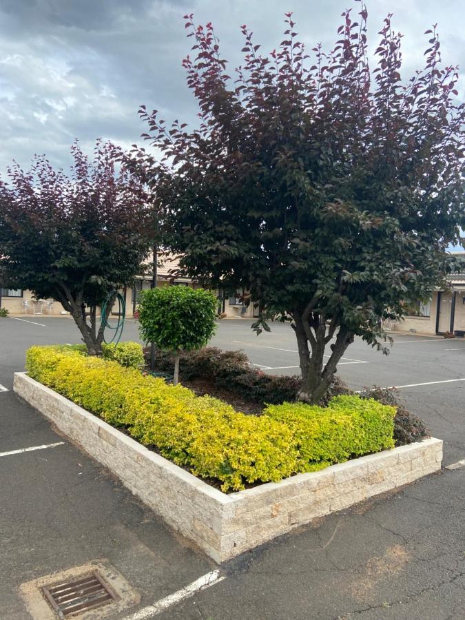 Seasons Motor Motel 3*